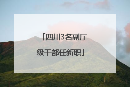 四川3名副厅级干部任新职