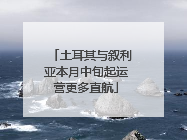土耳其与叙利亚本月中旬起运营更多直航