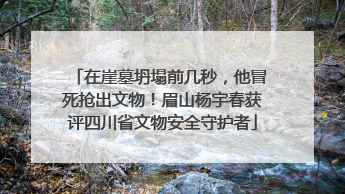 在崖墓坍塌前几秒，他冒死抢出文物！眉山杨宇春获评四川省文物安全守护者