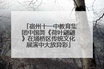 宿州十一中教育集团中国舞《荷叶翩翩》在埇桥区传统文化展演中大放异彩