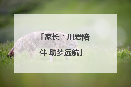 家长：用爱陪伴 助梦远航
