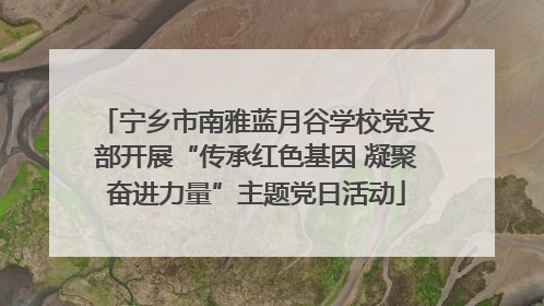 宁乡市南雅蓝月谷学校党支部开展“传承红色基因 凝聚奋进力量”主题党日活动