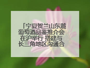 宁夏贺兰山东麓葡萄酒品鉴推介会在沪举行 搭建与长三角地区沟通合作的桥梁