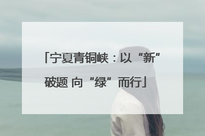 宁夏青铜峡：以“新”破题 向“绿”而行