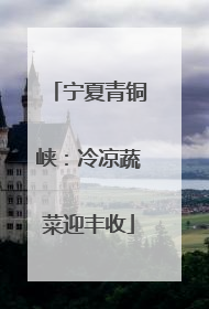 宁夏青铜峡：冷凉蔬菜迎丰收