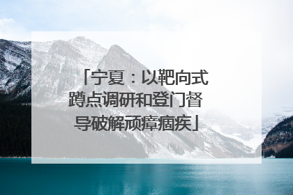 宁夏：以靶向式蹲点调研和登门督导破解顽瘴痼疾