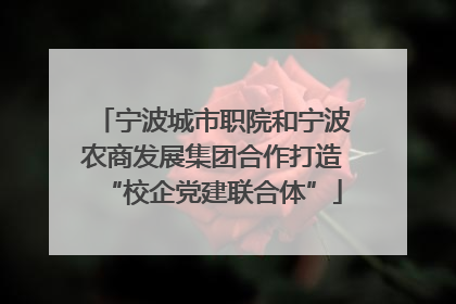 宁波城市职院和宁波农商发展集团合作打造“校企党建联合体”