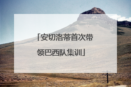 安切洛蒂首次带领巴西队集训
