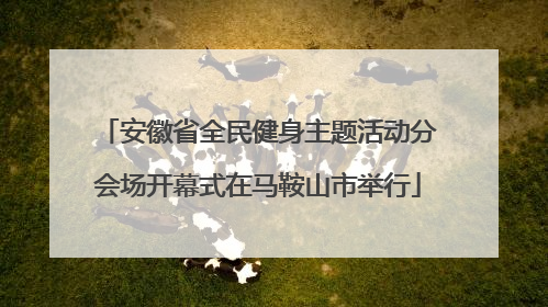 安徽省全民健身主题活动分会场开幕式在马鞍山市举行