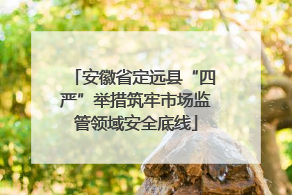 安徽省定远县“四严”举措筑牢市场监管领域安全底线