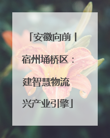 安徽向前丨宿州埇桥区：建智慧物流 兴产业引擎