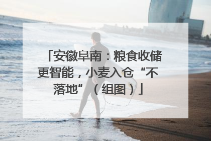 安徽阜南：粮食收储更智能，小麦入仓“不落地”（组图）