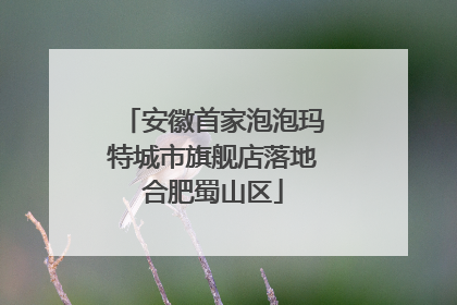 安徽首家泡泡玛特城市旗舰店落地合肥蜀山区