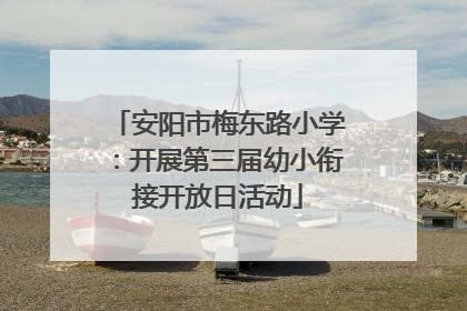 安阳市梅东路小学：开展第三届幼小衔接开放日活动