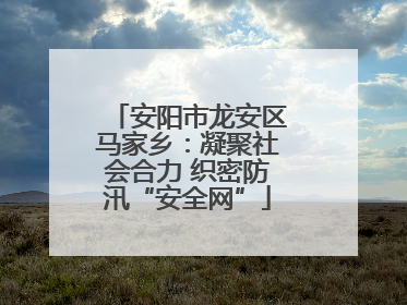 安阳市龙安区马家乡：凝聚社会合力 织密防汛“安全网”