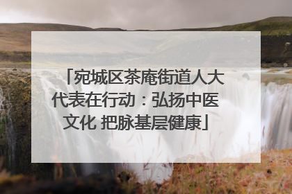 宛城区茶庵街道人大代表在行动：弘扬中医文化 把脉基层健康