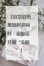 宜章县笆篱镇坦灵祠村：金银花开摘“金银”
