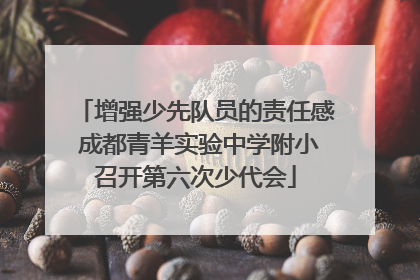 增强少先队员的责任感 成都青羊实验中学附小召开第六次少代会