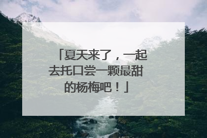 夏天来了，一起去托口尝一颗最甜的杨梅吧！