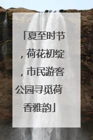 夏至时节，荷花初绽，市民游客公园寻觅荷香雅韵