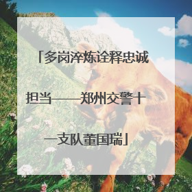多岗淬炼诠释忠诚担当——郑州交警十一支队董国瑞