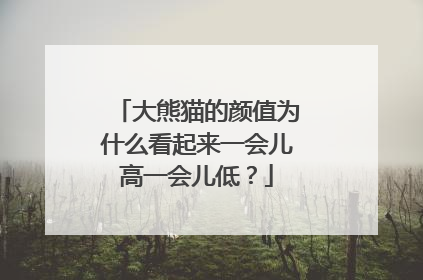 大熊猫的颜值为什么看起来一会儿高一会儿低？