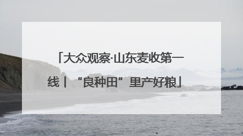 大众观察·山东麦收第一线丨“良种田”里产好粮