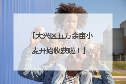 大兴区五万余亩小麦开始收获啦！