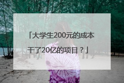大学生200元的成本干了20亿的项目？