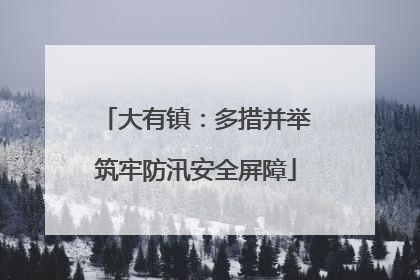 大有镇：多措并举筑牢防汛安全屏障