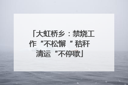 大虹桥乡：禁烧工作“不松懈“ 秸秆清运“不停歇