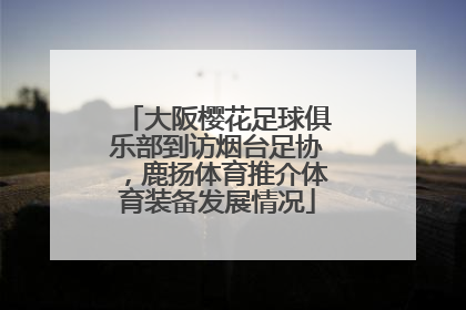 大阪樱花足球俱乐部到访烟台足协，鹿扬体育推介体育装备发展情况