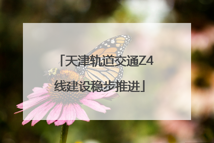 天津轨道交通Z4线建设稳步推进