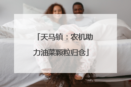 天马镇：农机助力油菜颗粒归仓