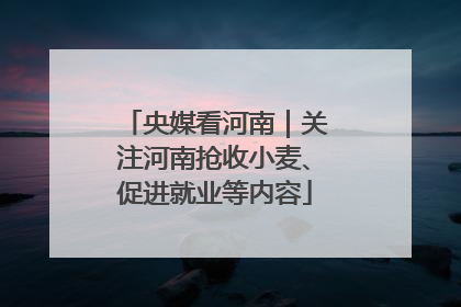 央媒看河南｜关注河南抢收小麦、促进就业等内容