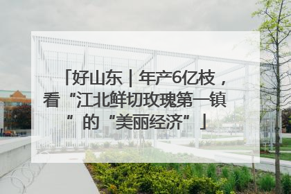 好山东｜年产6亿枝，看“江北鲜切玫瑰第一镇”的“美丽经济”