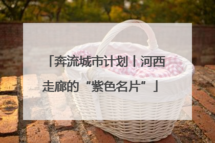 奔流城市计划丨河西走廊的“紫色名片”