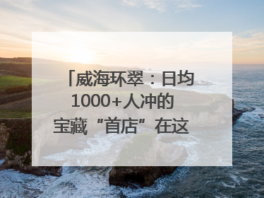 威海环翠：日均1000+人冲的宝藏“首店”在这条网红街区！