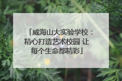 威海山大实验学校：精心打造艺术校园 让每个生命都精彩