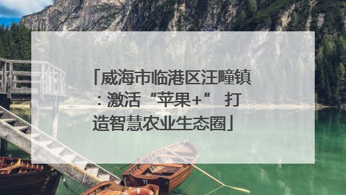 威海市临港区汪疃镇：激活“苹果+” 打造智慧农业生态圈