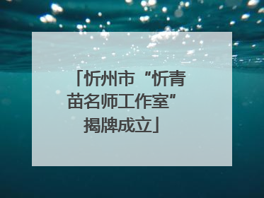 忻州市“忻青苗名师工作室”揭牌成立