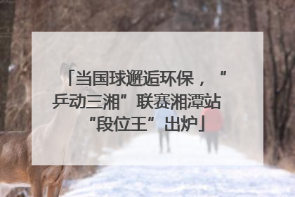 当国球邂逅环保，“乒动三湘”联赛湘潭站“段位王”出炉