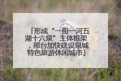 形成“一街一河五湖十六泉”主体框架，邢台加快建设泉城特色旅游休闲城市