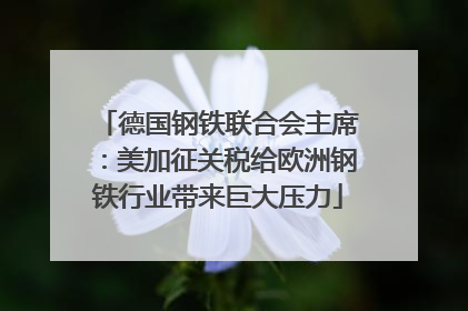 德国钢铁联合会主席：美加征关税给欧洲钢铁行业带来巨大压力