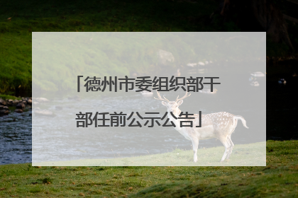 德州市委组织部干部任前公示公告