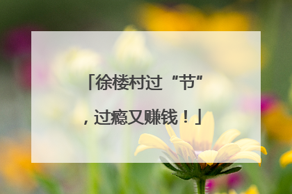 徐楼村过“节”，过瘾又赚钱！