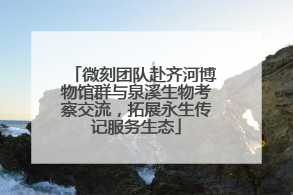 微刻团队赴齐河博物馆群与泉溪生物考察交流，拓展永生传记服务生态