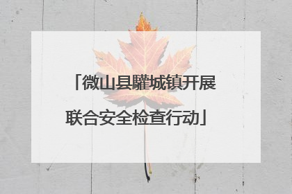 微山县驩城镇开展联合安全检查行动