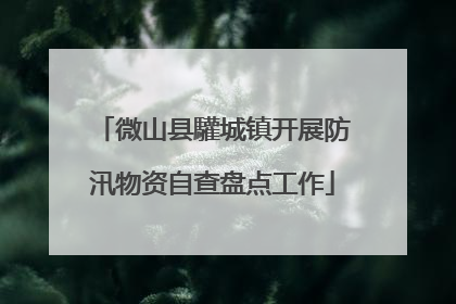 微山县驩城镇开展防汛物资自查盘点工作