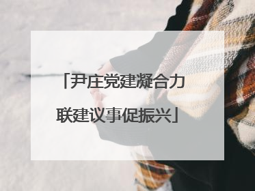 尹庄党建凝合力 联建议事促振兴